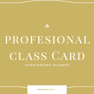 Kelas Profesional